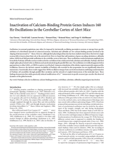 Inactivation of Calcium-Binding Protein Genes Induces 160 Hz