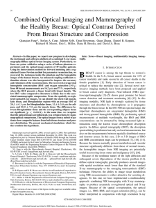 Combined Optical Imaging and Mammography of the Healthy Breast