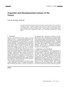 Traumatic and developmental lesions of the tarsus (PDF
