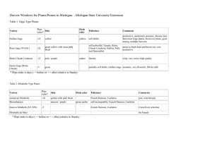 File - William Shane Tree Fruit Extension Share Site