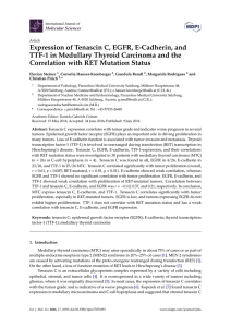 Expression of Tenascin C, EGFR, E-Cadherin, and TTF