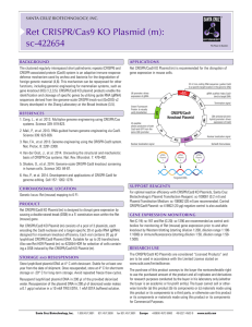 Ret CRISPR/Cas9 KO Plasmid (m): sc-422654