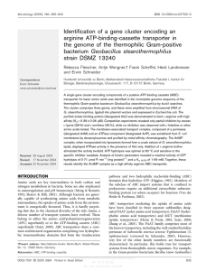 Identification of a gene cluster encoding an arginine ATP