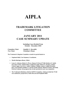 TRADEMARK LITIGATION COMMITTEE JANUARY 2011 CASE