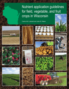 Nutrient Application Guidelines for Field, Vegetable, and Fruit Crops