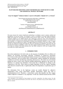 FLOW REGIME IDENTIFICATION METHODOLOGY WITH MCNP