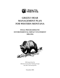 Final programmatic environmental impact statement 2006-2016