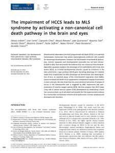 The impairment of HCCS leads to MLS syndrome by activating a