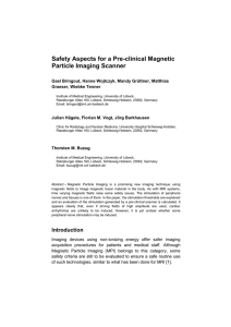 Safety Aspects for a Pre-clinical Magnetic Particle Imaging Scanner