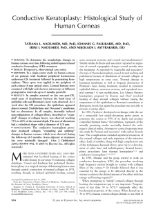 Conductive Keratoplasty: Histological Study of Human Corneas