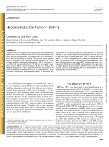 Hypoxia-Inducible Factor-1 (HIF-1)