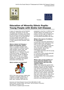 Education of Minority Ethnic Pupils: Young People with Sickle Cell