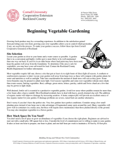 Beginning Vegetable Gardening