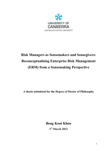 Risk Managers as Sensemakers and Sensegivers