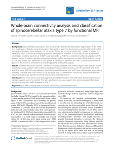 Whole-brain connectivity analysis and classification of