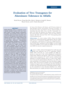 Evaluation of Two Transgenes for Aluminum Tolerance in Alfalfa