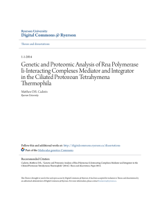 Genetic and Proteomic Analysis of Rna Polymerase Ii