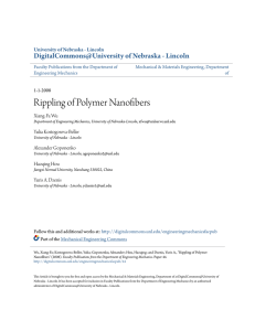 Rippling of Polymer Nanofibers - DigitalCommons@University of