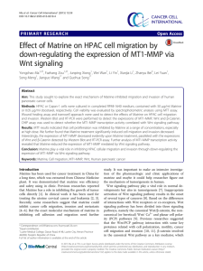 Effect of Matrine on HPAC cell migration by down