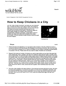 Urban Chicken Care Information