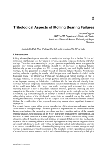 Tribological Aspects of Rolling Bearing Failures