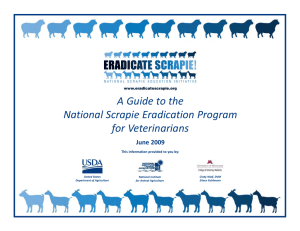 A Guide to the National Scrapie Eradication Program for Veterinarians