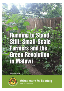 Running to Stand Still: Small-Scale Farmers and the Green