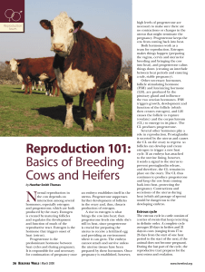 Reproduction 101: Basics of Breeding Cows and Heifers
