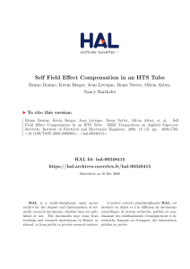 Self Field Effect Compensation in an HTS Tube