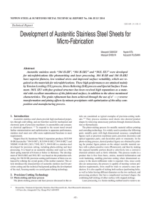 Development of Austenitic Stainless Steel Sheets for Micro