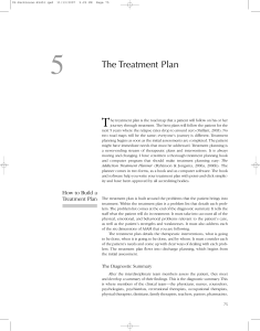 The Treatment Plan