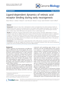 Ligand-dependent dynamics of retinoic acid receptor binding during