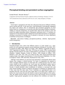 Perceptual-binding and persistent surface segregation