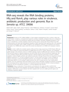 RNA-seq reveals the RNA binding proteins, Hfq and RsmA, play
