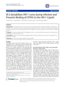 BI-2 destabilizes HIV-1 cores during infection and Prevents Binding