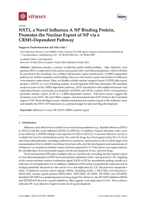 NXT1, a Novel Influenza A NP Binding Protein, Promotes the