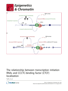 The relationship between transcription initiation RNAs and CCCTC