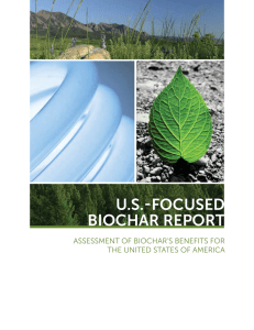 US-FocUSed Biochar report