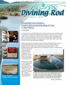 Divining Rod Newsletter by NM Water Resources Research Institute