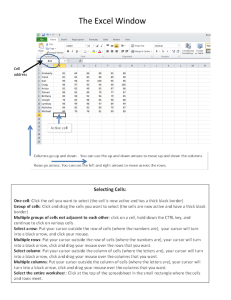 The Excel Window