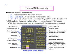 Using AFNI Interactively