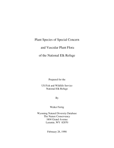 Plant Species of Special Concern and Vascular Plant Flora of the