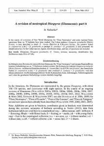A revision of neotropical Diospyros (Ebenaceae): part 6