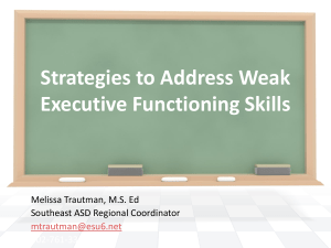 Strategies to Address Weak Executive Functioning Skills