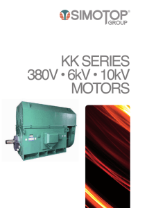 KK SERIES 380V • 6kV • 10kV MOTORS