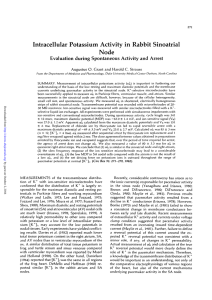Intracellular Potassium Activity in Rabbit Sinoatrial Node