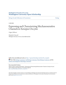 Expressing and Characterizing Mechanosensitive Channels in