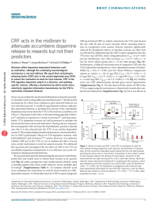 CRF acts in the midbrain to attenuate accumbens dopamine release