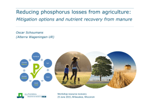 Reducing phosphorus losses from agriculture
