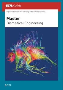 Master Biomedical Engineering